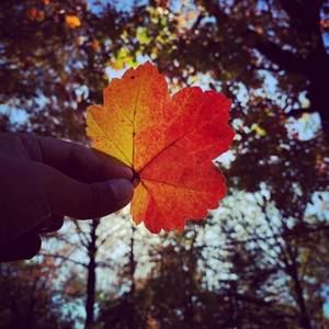 Meet your Posher, Isar